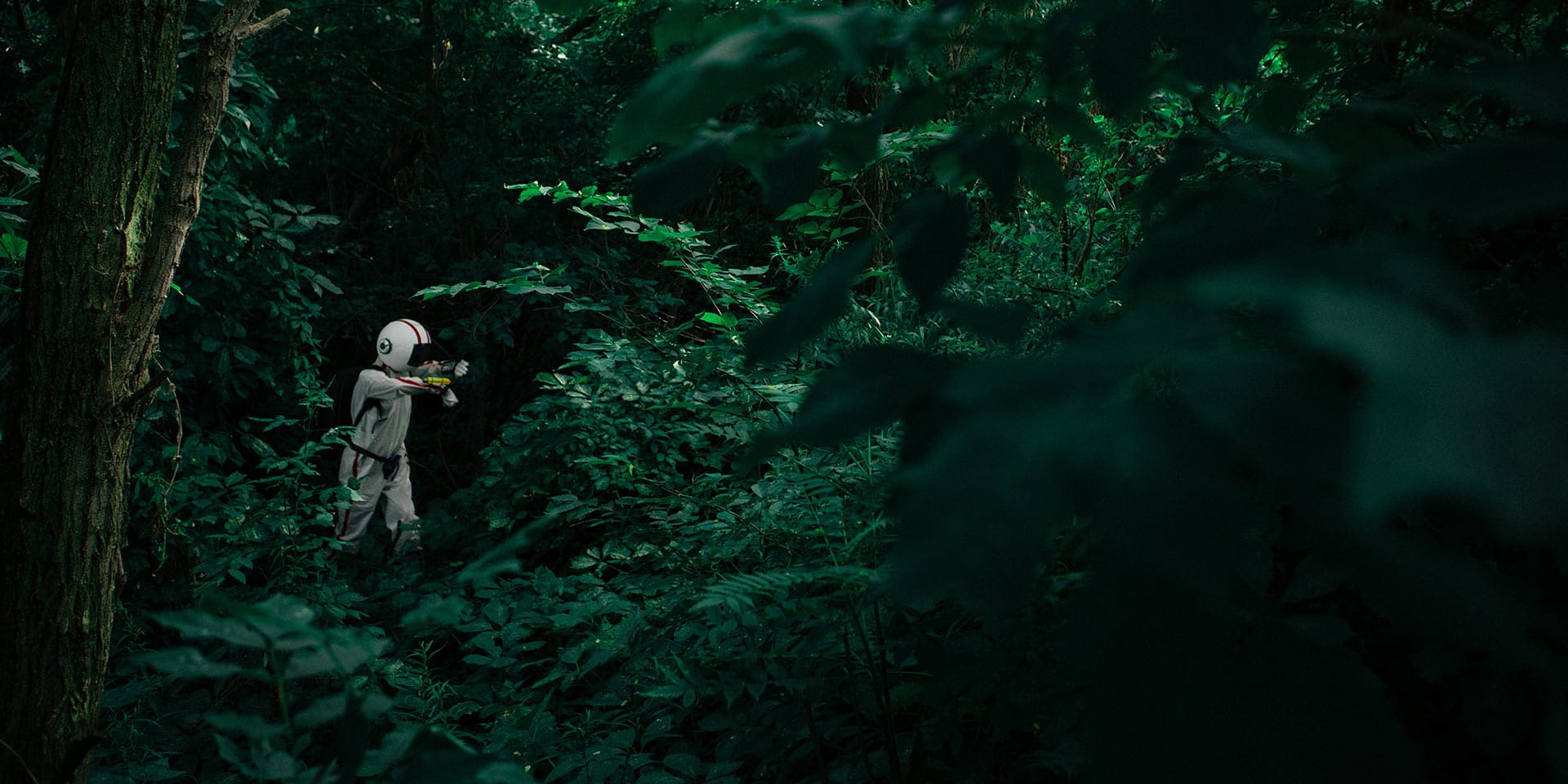 Row Background Image