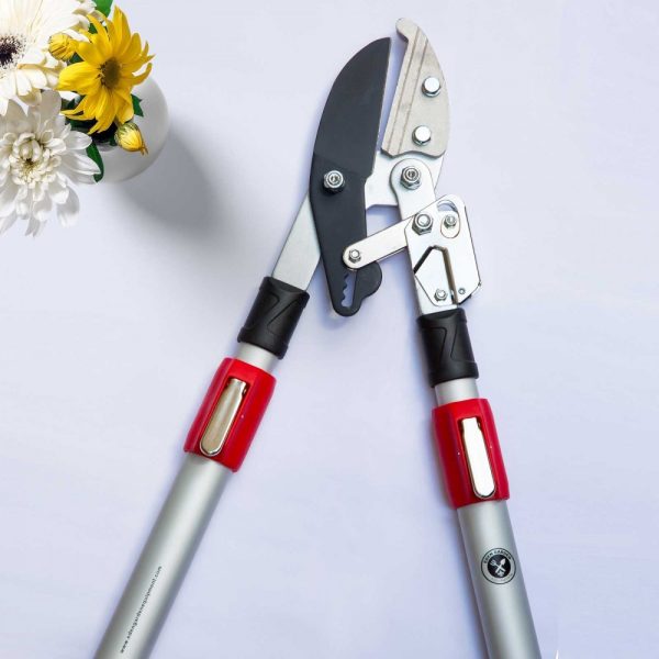 Telescopic Lopper